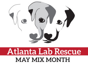 ALR May Mix Month logo