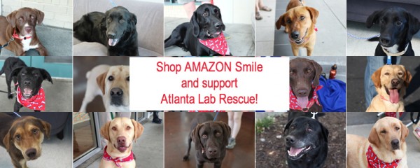 Shop AMAZON this Holiday and support Atlanta Lab Rescue all in one!