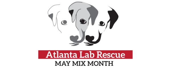 This month Atlanta Lab Rescue is celebrating “The Mix.”